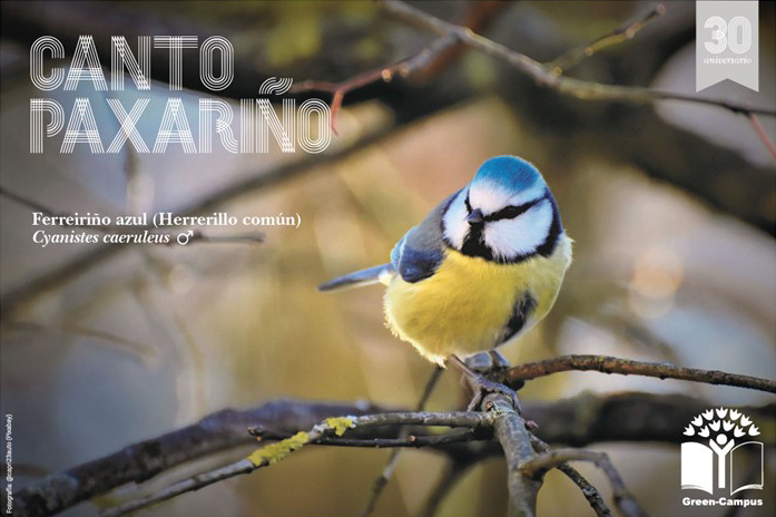 Canto Paxariño. Green Campus