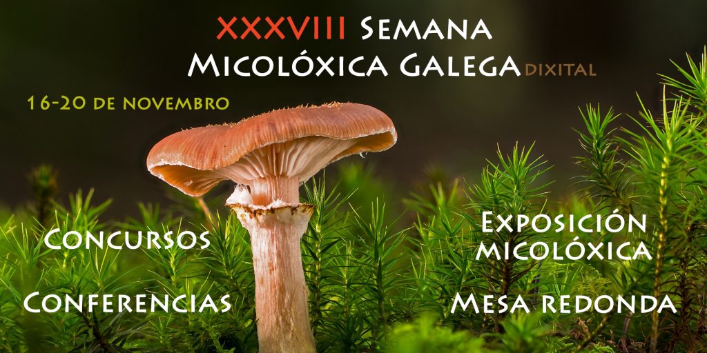 Semana Micolóxica Galega