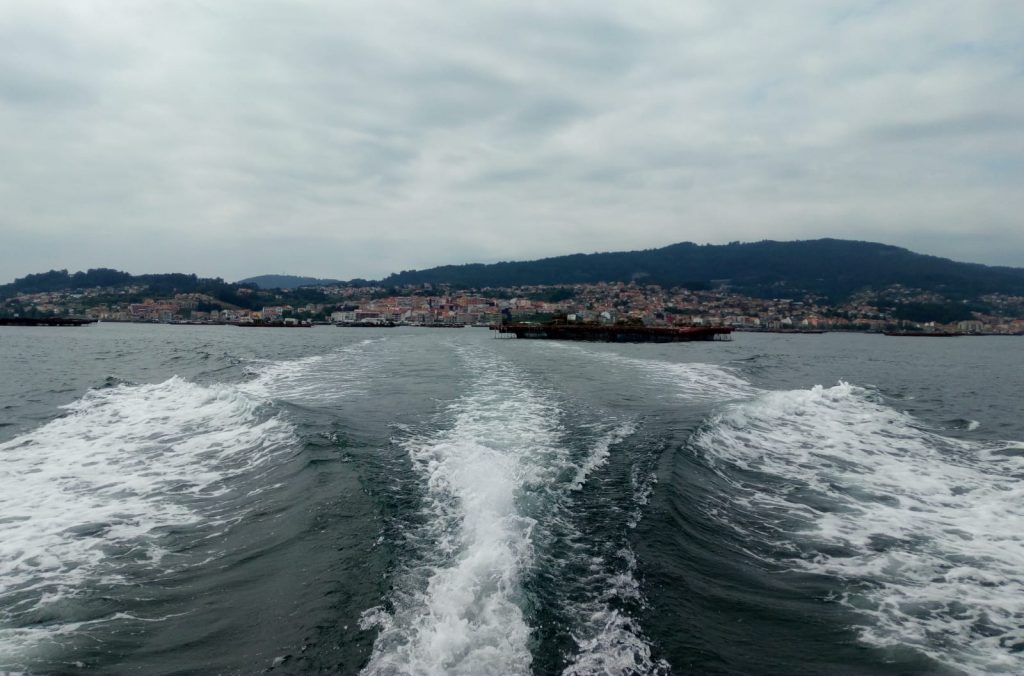 Premios Atlantic Project 2020