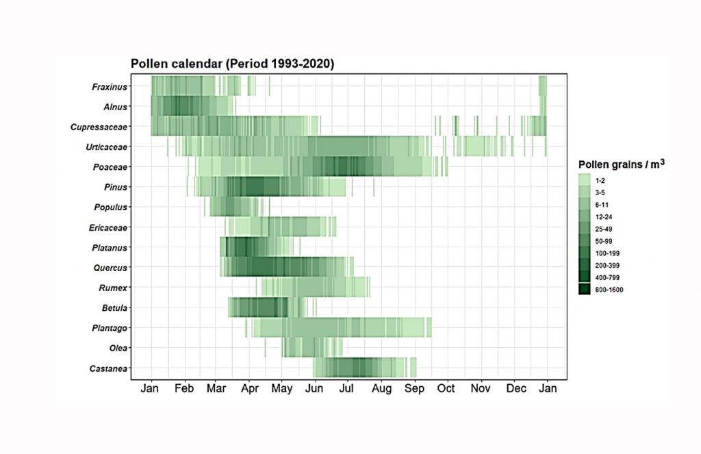 Gráfica do calendario elaborado